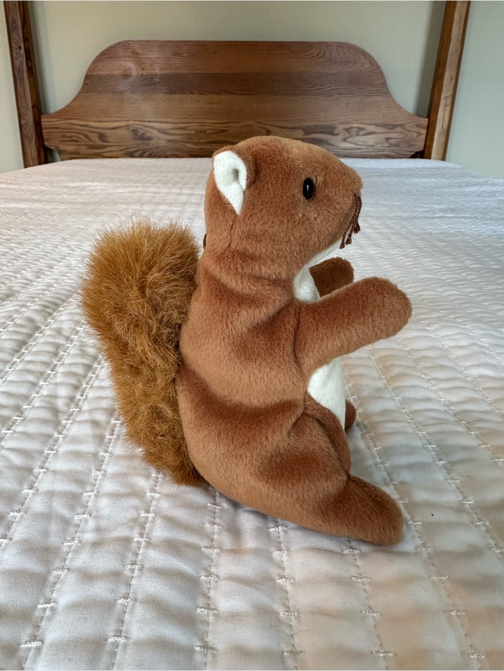 Nuts the Squirrel Beanie Baby - Picture 3 of 8